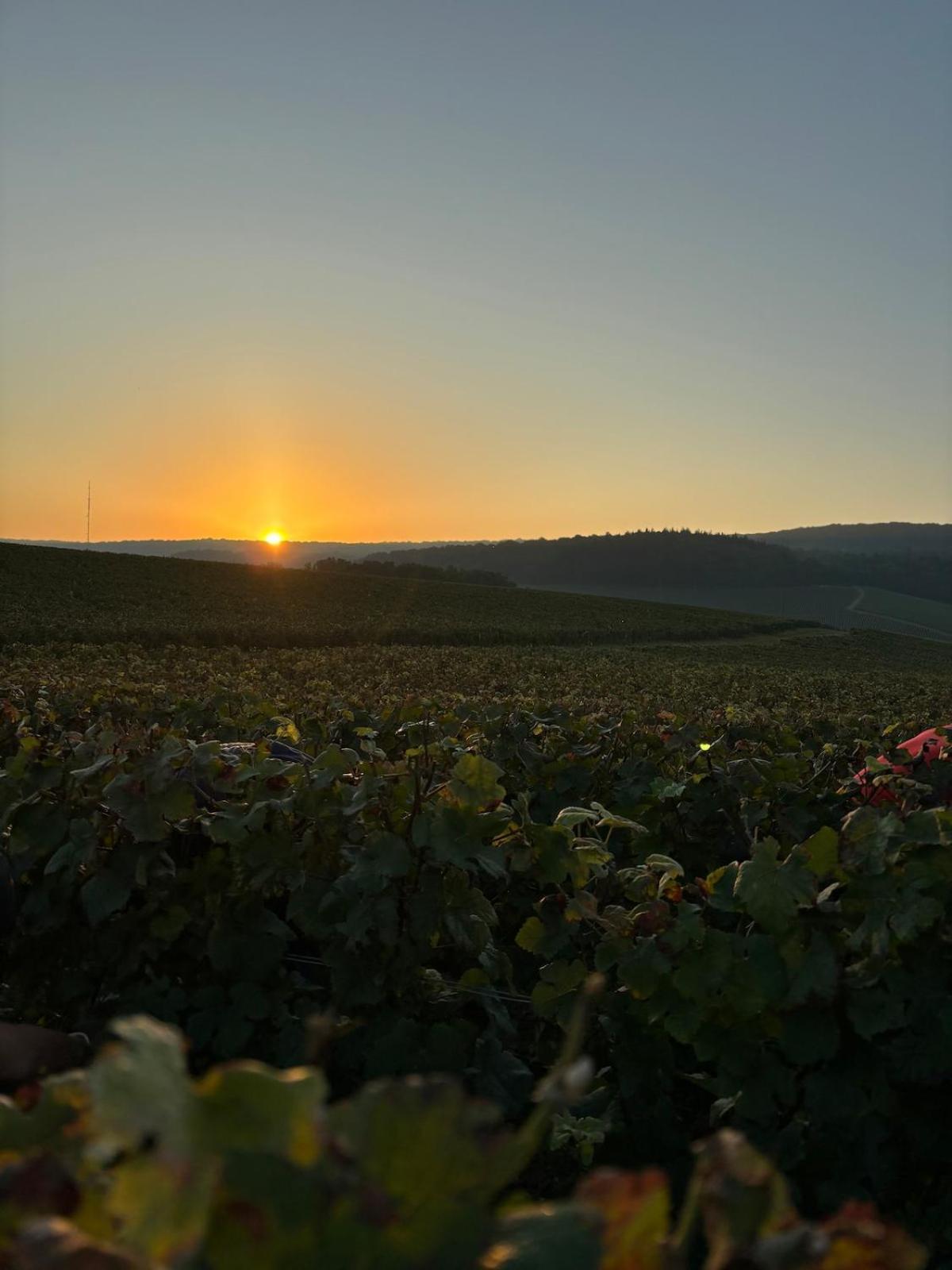 La Galipette, Charmant Chalet En Champagne Fleury-la-Riviere Экстерьер фото